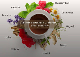 Herbal Teas for Nasal Congestion: 5 Best Recipes to Try