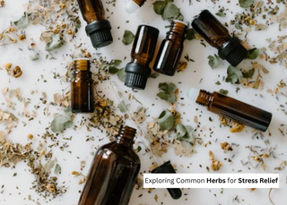Exploring Common Herbs for Stress Relief: A Comprehensive Guide