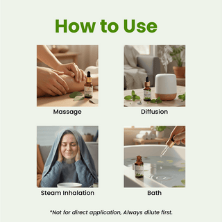 Eucalyptus Essential Oil (15ml)