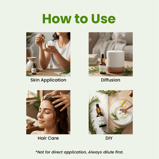 Rosemary Essential Oil (15ml)